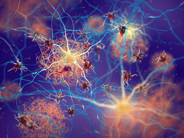 Scientists Discover Natural Molecule That Stops Alzheimer’s Protein Clumps From Forming