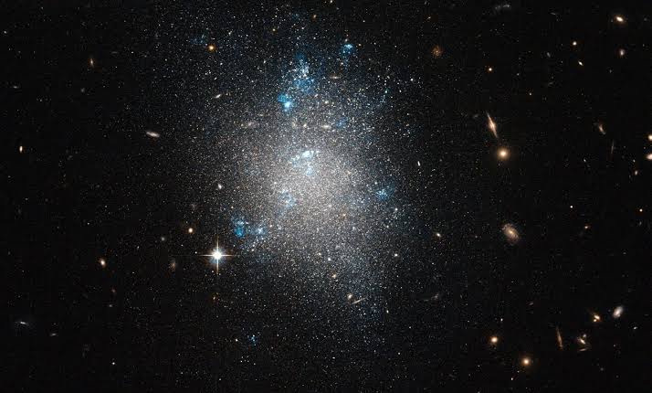 What if dark matter came in two states?