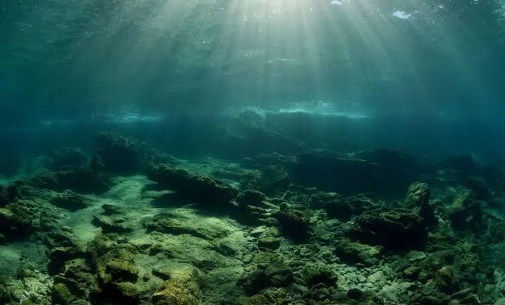 A Remote Lake Sealed Off Since the Ice Age Became Home to Millions of Jellyfish Found Nowhere Else on Earth