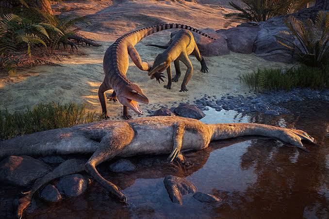 Locked in stone for 210 million years, this newly identified crocodile cousin was built to crush larger prey