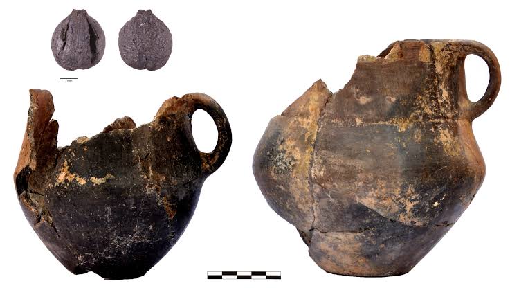 What Bronze Age people ate and drank: South Caucasus pottery reveals a surprisingly diverse menu