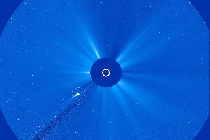 Watch a Comet Get Torn Apart by the Sun and Become a Headless Ghost