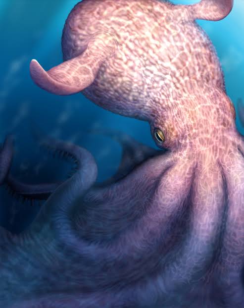 Jaw fossils suggest a 60-foot octopus was the ‘kraken’ of the Cretaceous