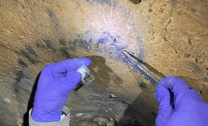 Scientists Uncover Hidden Clue in Ancient Cave Art, Dating It to 16,000 Years Ago Using Charcoal Analysis
