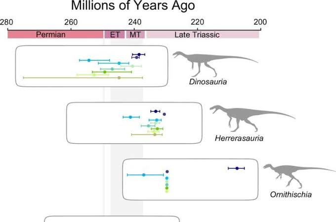Dinosaurs may have originated 10 million years earlier than fossils show