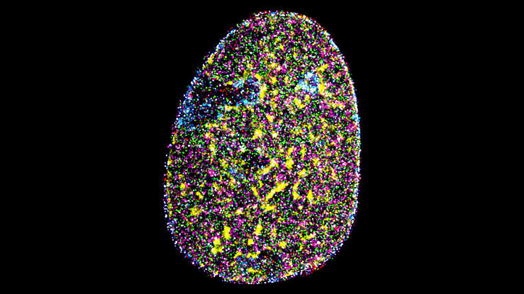 High-resolution imaging shines light on nanoscale nuclear organization