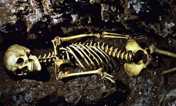 Scientists Uncovered a Genetic Fusion Between Two Ancient Worlds in a 4,500-Year-Old Skeleton