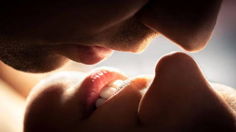 Are Humans The Only Animals That Kiss? An Evolutionary Biologist Explains