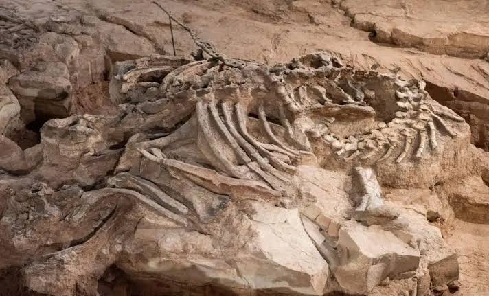 Scientists Discovered This Massive 7,000-Pound Dinosaur Fossil With Skin Still Intact