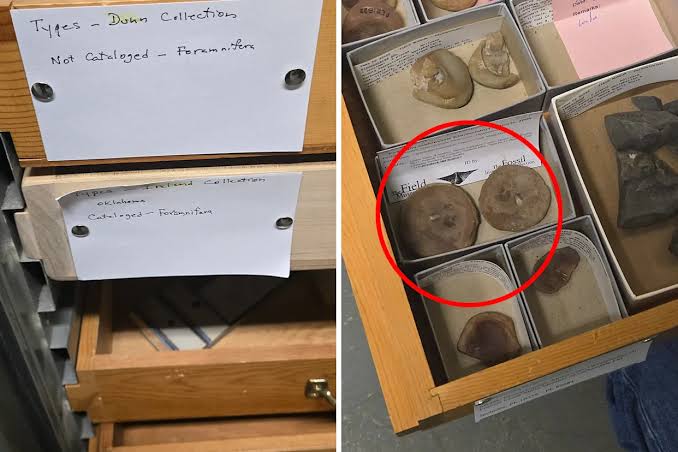 Remarkable discovery inside museum item after 26 years: 'Stopped us in our tracks'