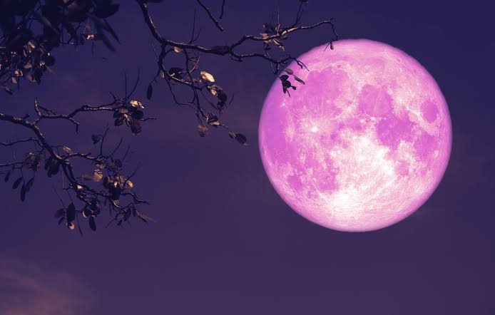April pink moon of 2026 to turn full this week