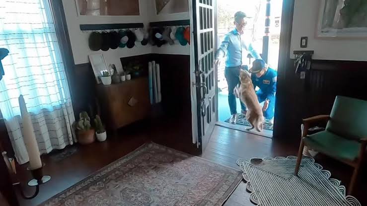 Artemis II astronaut Christina Koch shares touching reunion with dog