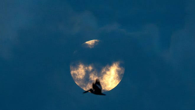 Is the moon still full? April full moon coincided with Artemis II launch