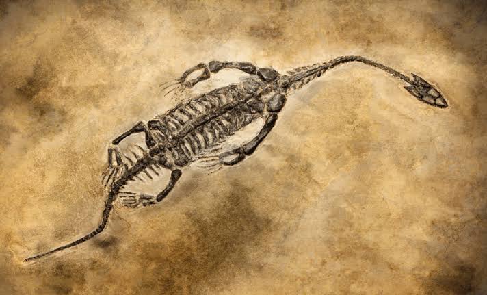 70-Million-Year-Old Fossil Discovery In Morocco Points To Lost Dinosaur Highways Across Oceans