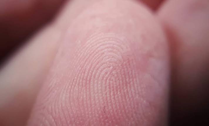 It Turns Out You Can Regrow Your Fingertips and Scientists Just Found Out How It Works