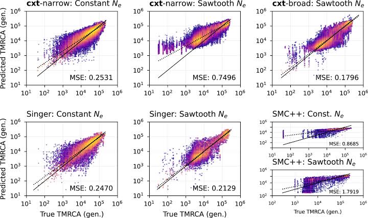 DNA-reading AI reconstructs ancestry in minutes, matching top statistical methods