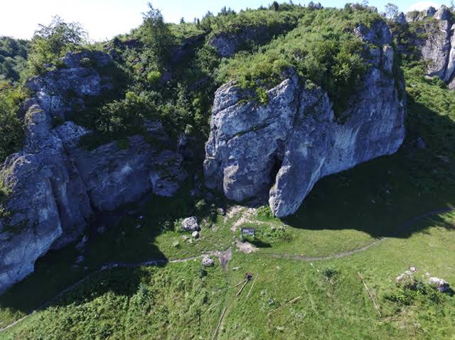 New genetic evidence from Stajnia Cave reveals the oldest Neanderthal group reconstructed in Central-Eastern Europe