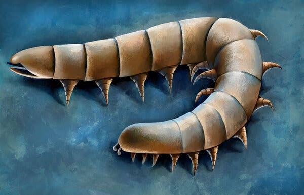 How Ancient Centipede Ancestors Conquered the Earth