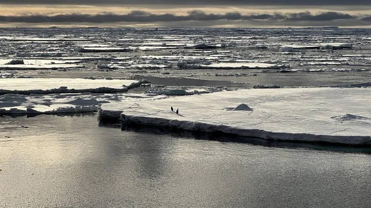 A ‘triple whammy’ of chaos has triggered a downward spiral in Antarctica, scientists discover