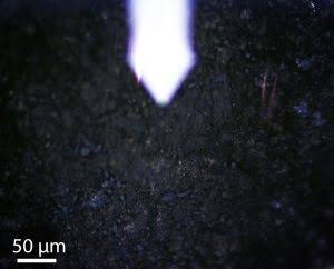 Stony Brook University Researchers Uncover New Clues About Carbonaceous Asteroids