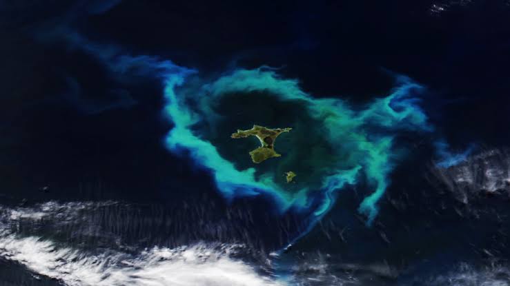 Glowing ring of plankton surrounding New Zealand islands linked to deadly underwater plateau — Earth from space