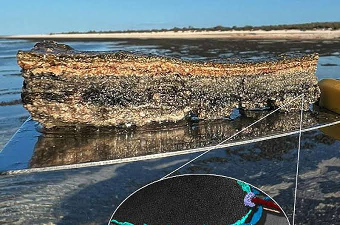 'First contact' that may have led to complex life on Earth finally witnessed by scientists