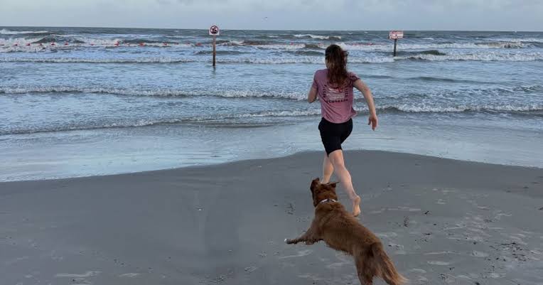 Over the moon: Watch Astronaut Christina Koch reunite with dog after lunar mission
