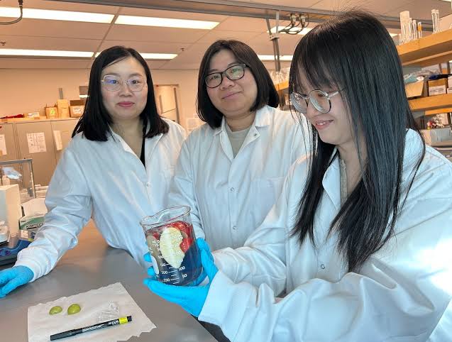 New UBC wash removes pesticides and extends produce shelf life