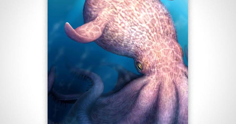 60-foot octopus prowled seas as apex predator during age of dinosaurs, fossilized jaws show
