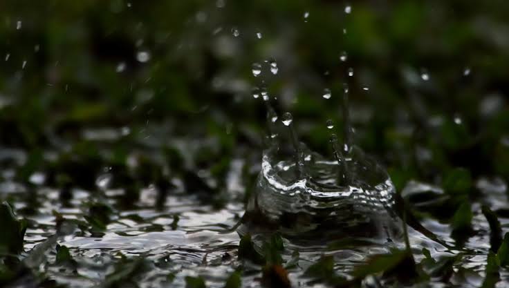 The fascinating reason why rain smells the way that it does