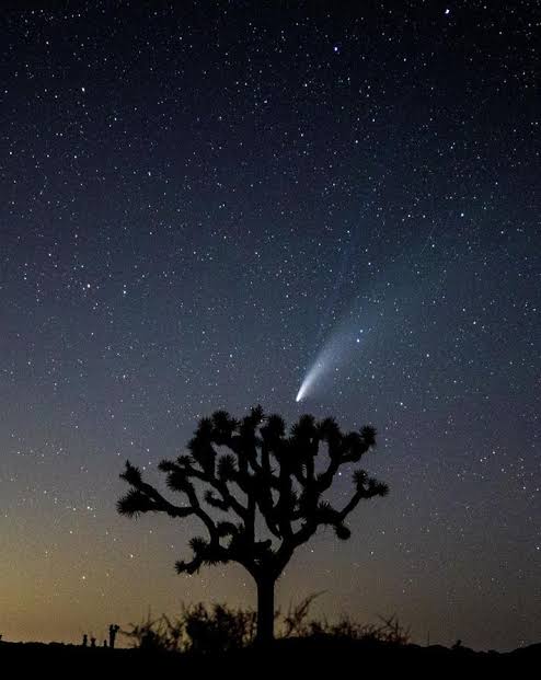 Rare Comet Visible For First Time In 170,000 Years This Weekend
