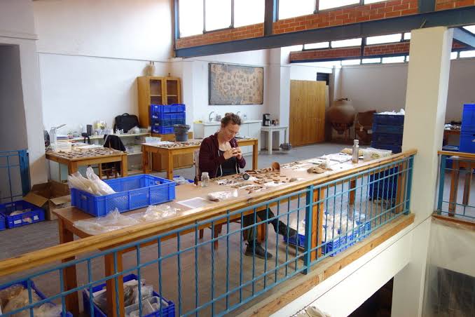 Ancient graves and DNA uncover family bonds that went beyond genetics