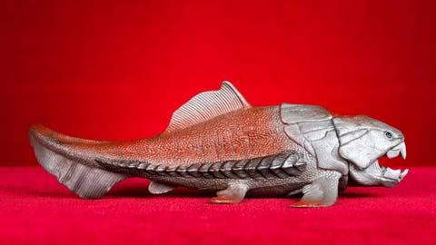 Meet Dunkleosteus—The Armored Fish That Terrorized The Devonian Ocean