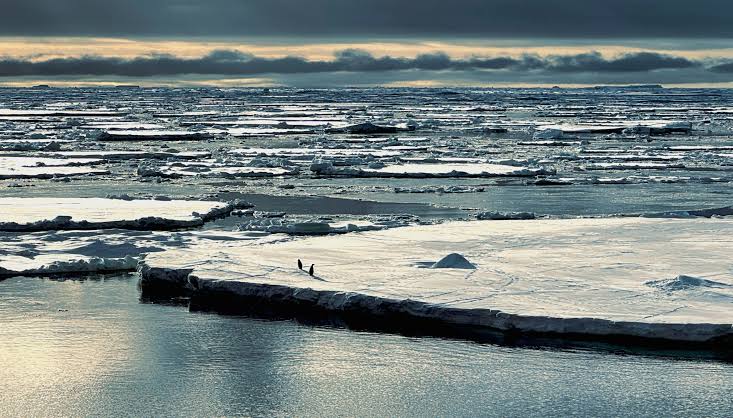 Antarctica sea ice collapse driven by triple whammy of climate chaos, scientists find