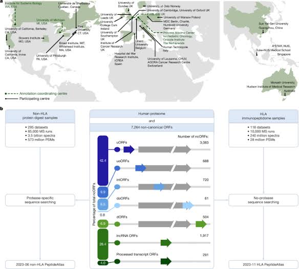 Expanding the human proteome with microproteins and peptideins