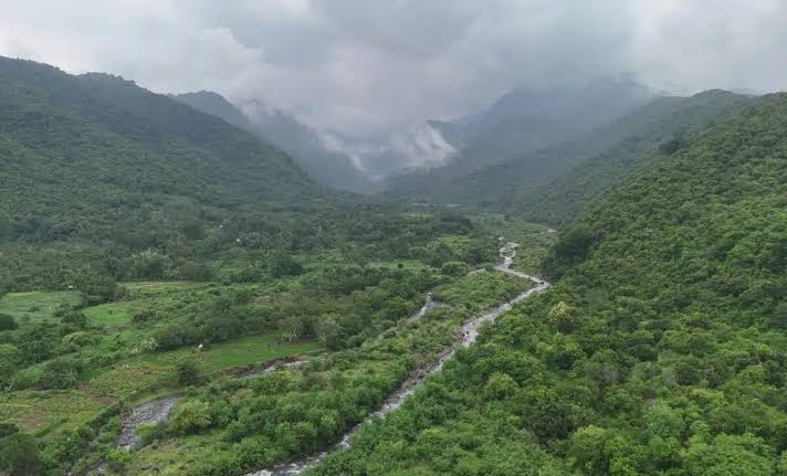 Scientists Found a Fossil Along a River in China, and It Seems to Have Solved a 160-Million-Year-Old Mystery