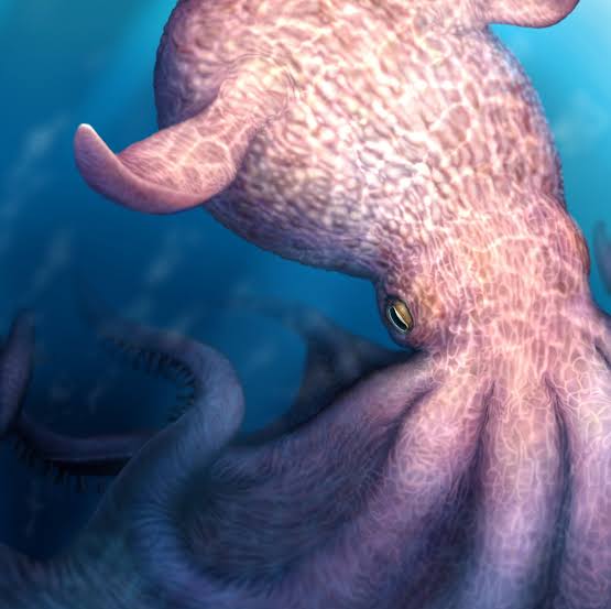 Giant octopuses may have ruled the oceans 100 million years ago