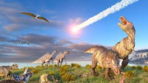 Top Comments: How Did Birds Survive the Meteor Collision that Killed the Dinosaurs?