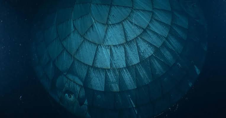 Guess What This Creepy Underwater Thing Is That Was Photographed by US Navy Divers for NASA