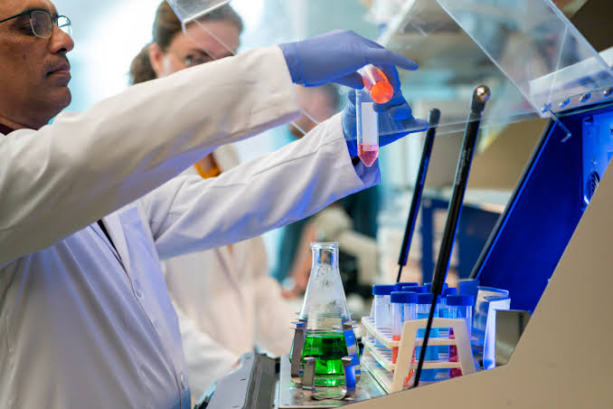 This nasal spray rewinds the aging brain, restoring memory and reversing inflammation in preclinical models