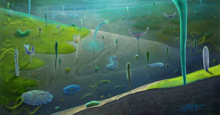 Chinese fossils reveal a primordial burst of animal evolution