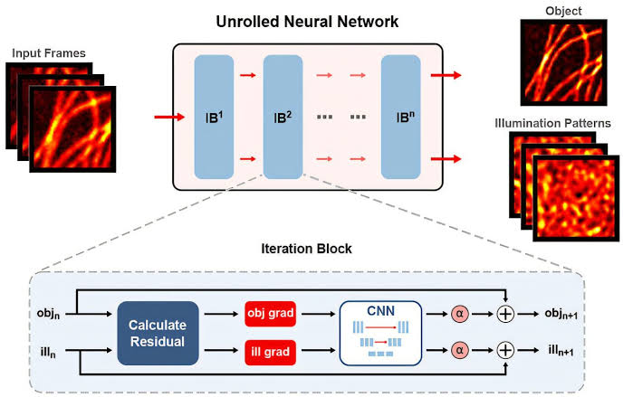 AI-enhanced microscopy produces crisp, real-time video inside live cells