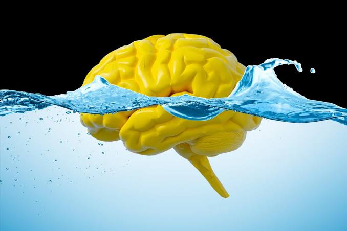 Dirty mind? Study suggests gut movement may flush excess material from our brains