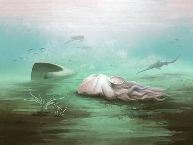 Scientists Just Exposed a 300 Million-Year-Old Fossil Mistake