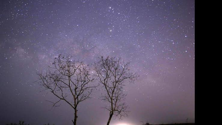 Pink moon, meteor shower and more in store for Washington state. Here’s when