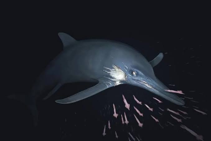 Fossil reveals 180 million-year-old dolphin-like sea monster that survived despite injuries