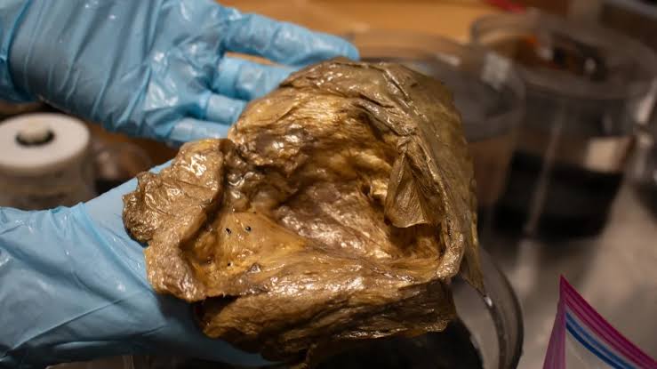 Scientists found a mysterious ‘golden orb’ two miles beneath the surface of the ocean. Now they’ve worked out what it is