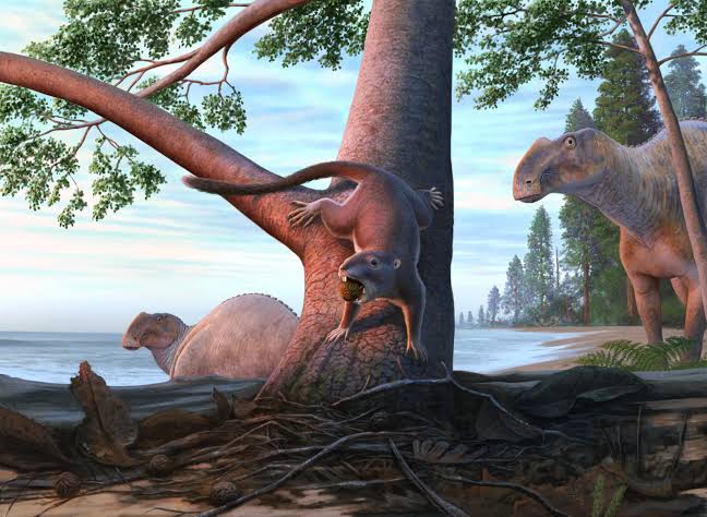 Before dinosaurs vanished, a hamster-sized mammal was already shaping what survived next on the Pacific Coast