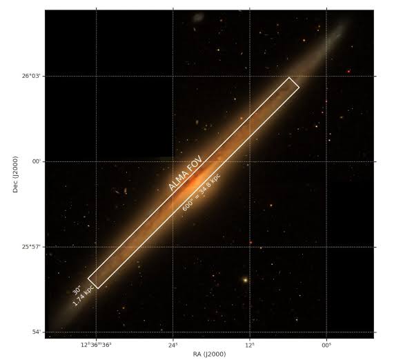 ALMA reveals giant molecular clouds across Needle galaxy's full disk
