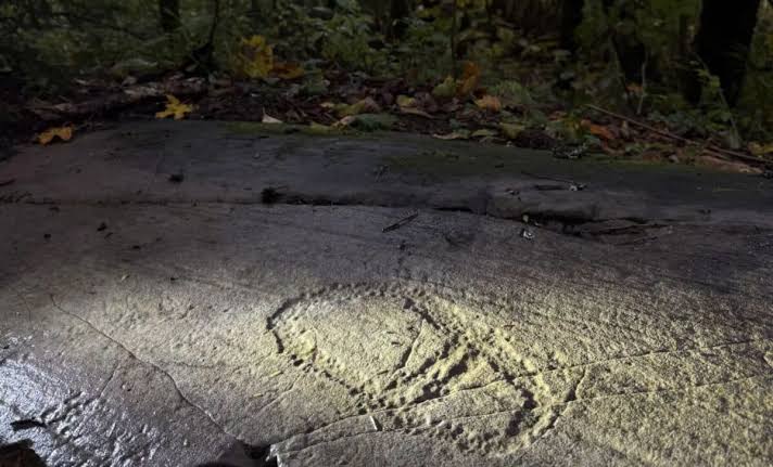 A Father and His Daughter Stopped Along a Road in Norway and Stumbled Upon 3,000-Year-Old Ancient Carvings Unlike Any Seen Before